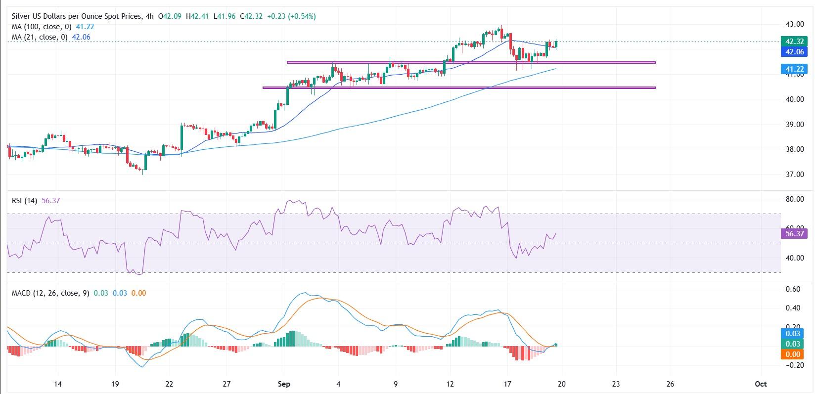 پیش بینی قیمت نقره