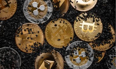 پیش فروش موتووم فایننس (MUTM) به مرز 16 میلیون دلار نزدیک می شود – یکشنبه 23 شهریور 1404