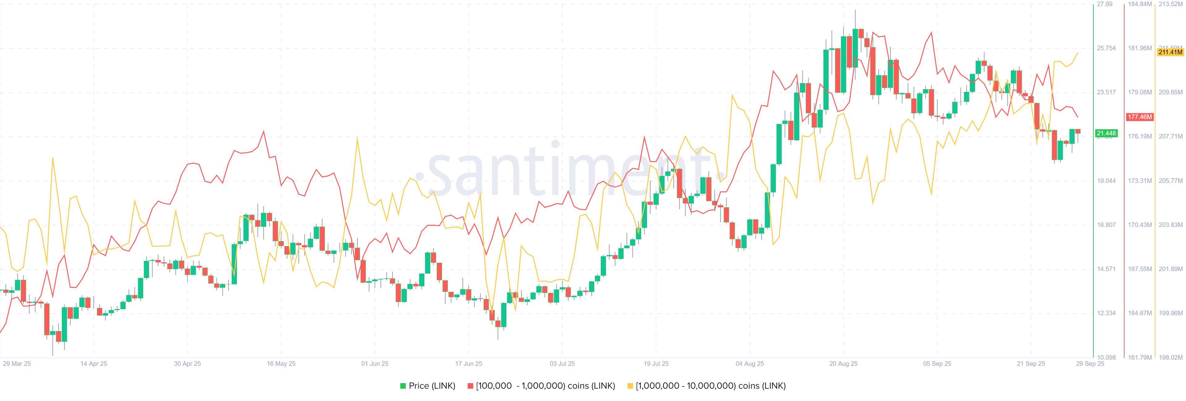 نمودار توزیع عرضه چین لینک و بررسی رشد و کاربرد چین لینک. منبع: Santiment