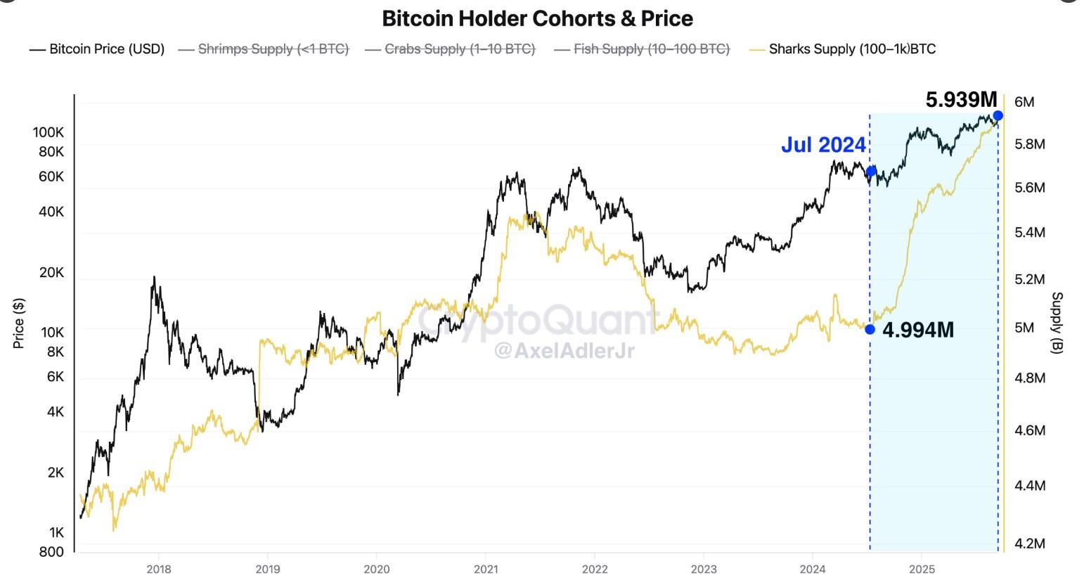 نمودار انباشت بیت کوین توسط کیف پول های کوسه. پیش بینی قیمت بیت کوین.