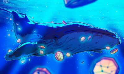 شرط بندی نهنگ بیت کوین با 900 میلیون دلار بر اصلاح قیمت بیت کوین و اتریوم