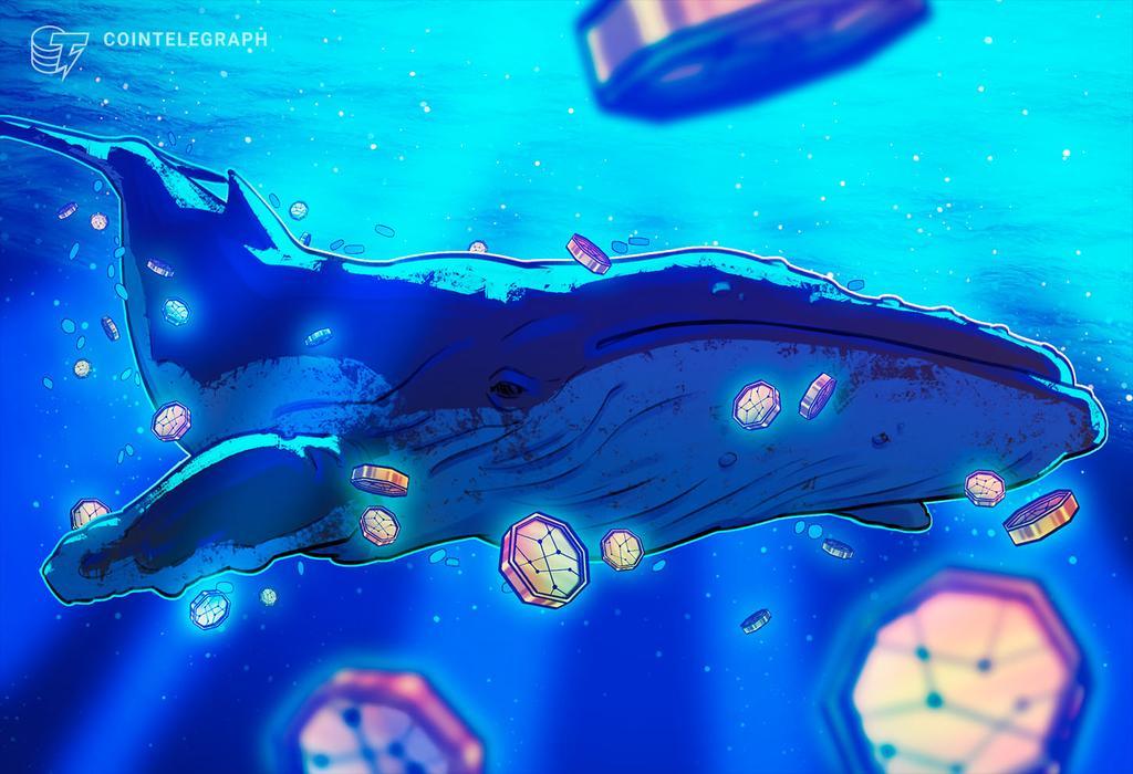 شرط بندی نهنگ بیت کوین با 900 میلیون دلار بر اصلاح قیمت بیت کوین و اتریوم