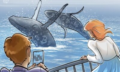 نهنگ های بیت کوین و افزایش سرمایه گذاری سازمانی بیت کوین با ETF بلک راک