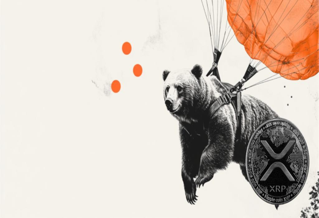 افزایش قیمت ریپل (XRP) همزمان با رشد حجم معاملات