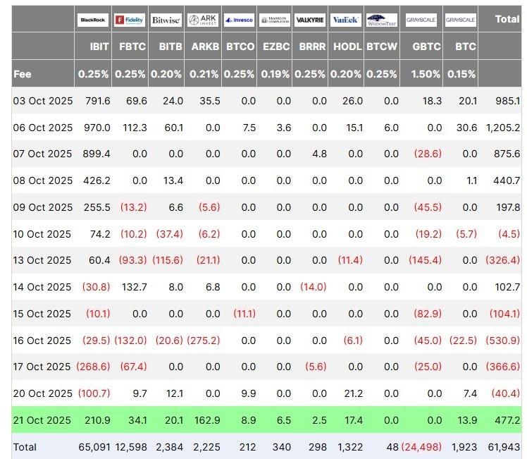 نمودار ورودی ETF بیت کوین و تاثیر آن بر چشم انداز بیت کوین