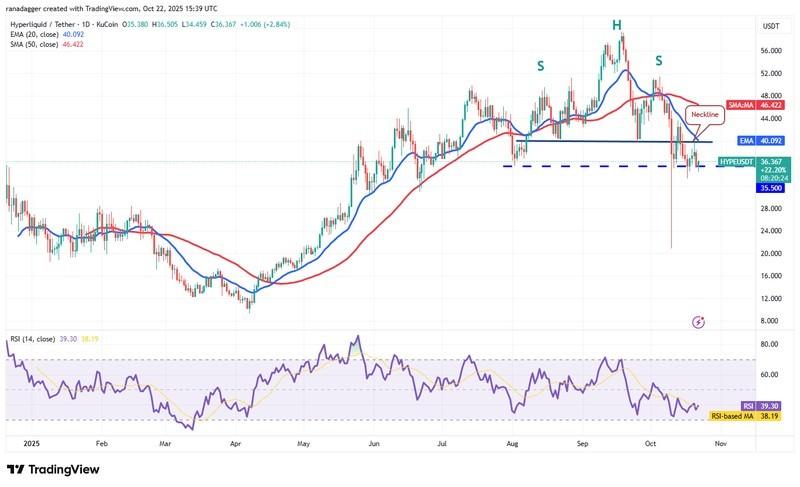 دوج کوین، ارزهای دیجیتال، استلار، قیمت بیت کوین، ریپل، بازارها، صرافی ارزهای دیجیتال، کاردانو، تحلیل قیمت، چین لینک، تحلیل بازار، قیمت اتریوم، سولانا، بایننس کوین، پیش بینی قیمت ارز دیجیتال
