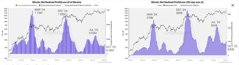 روند کلی سودگیری و پیش بینی قیمت بیت کوین