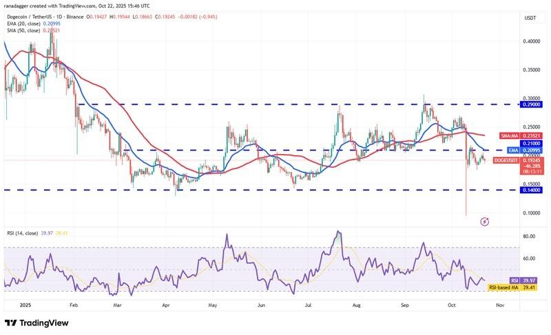 دوج کوین، ارزهای دیجیتال، استلار، قیمت بیت کوین، ریپل، بازارها، صرافی ارزهای دیجیتال، کاردانو، تحلیل قیمت، چین لینک، تحلیل بازار، قیمت اتریوم، سولانا، بایننس کوین، پیش بینی قیمت ارز دیجیتال