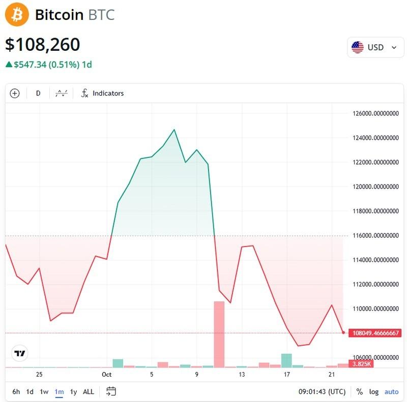نمودار یک ماهه BTC/USD و چشم انداز بیت کوین