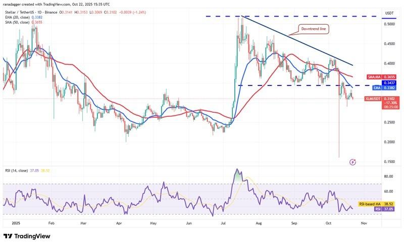 دوج کوین، ارزهای دیجیتال، استلار، قیمت بیت کوین، ریپل، بازارها، صرافی ارزهای دیجیتال، کاردانو، تحلیل قیمت، چین لینک، تحلیل بازار، قیمت اتریوم، سولانا، بایننس کوین، پیش بینی قیمت ارز دیجیتال