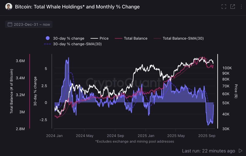 کل نگهداری نهنگ های بیت کوین و کف بیت کوین