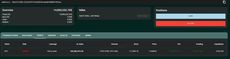نمودار فعالیت نهنگ کریپتو و دستکاری بازار توسط نهنگ کریپتو