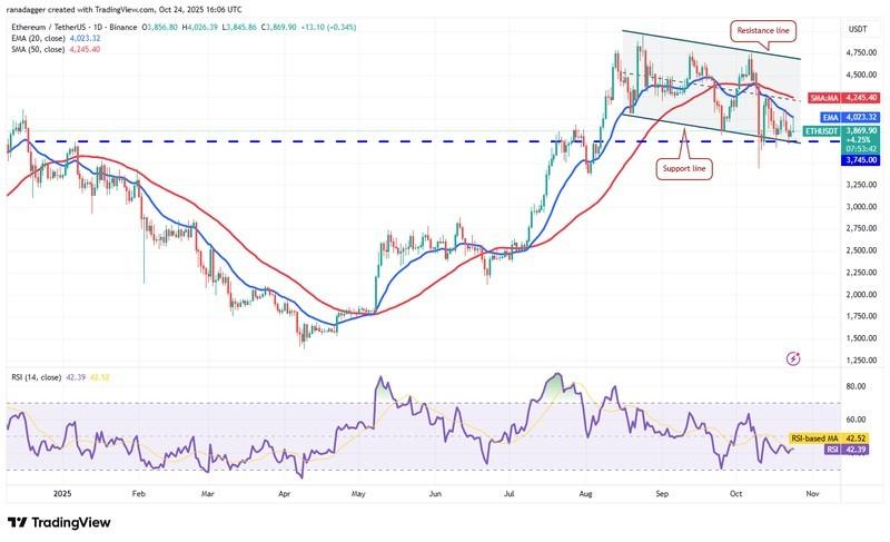 پیش بینی قیمت ارزهای دیجیتال، دوج کوین، استلار، قیمت بیت کوین، XRP، بازارها، صرافی ارز دیجیتال، کاردانو، تحلیل قیمت، چین لینک، تحلیل بازار، قیمت اتریوم، سولانا، BNB