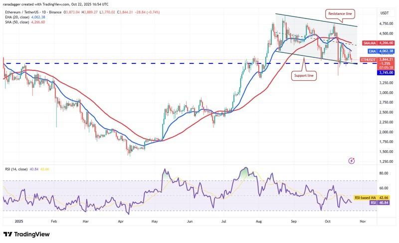 دوج کوین، ارزهای دیجیتال، استلار، قیمت بیت کوین، ریپل، بازارها، صرافی ارزهای دیجیتال، کاردانو، تحلیل قیمت، چین لینک، تحلیل بازار، قیمت اتریوم، سولانا، بایننس کوین، پیش بینی قیمت ارز دیجیتال