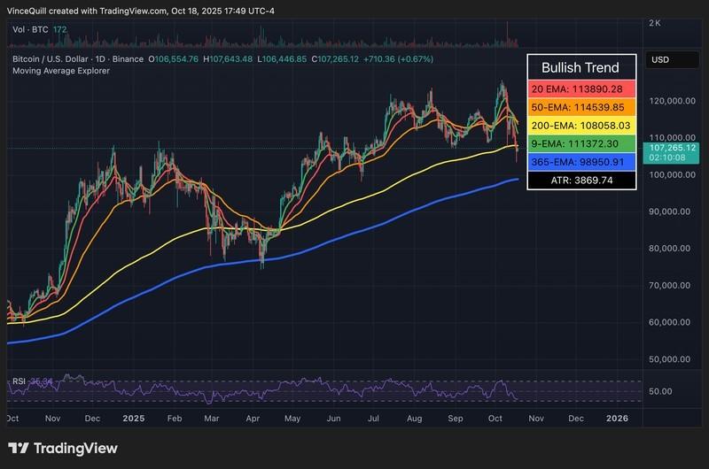 افت ارزش دارایی ساتوشی - Satoshi Nakamoto, Bitcoin Price