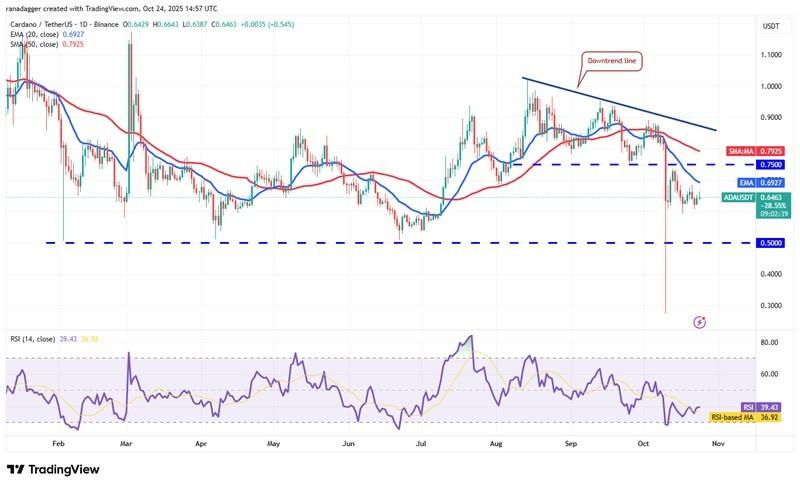 پیش بینی قیمت ارزهای دیجیتال، دوج کوین، استلار، قیمت بیت کوین، XRP، بازارها، صرافی ارز دیجیتال، کاردانو، تحلیل قیمت، چین لینک، تحلیل بازار، قیمت اتریوم، سولانا، BNB