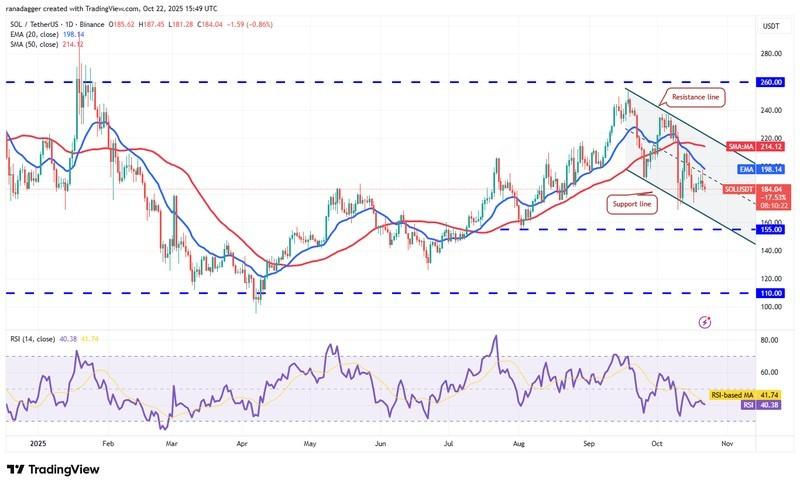 دوج کوین، ارزهای دیجیتال، استلار، قیمت بیت کوین، ریپل، بازارها، صرافی ارزهای دیجیتال، کاردانو، تحلیل قیمت، چین لینک، تحلیل بازار، قیمت اتریوم، سولانا، بایننس کوین، پیش بینی قیمت ارز دیجیتال