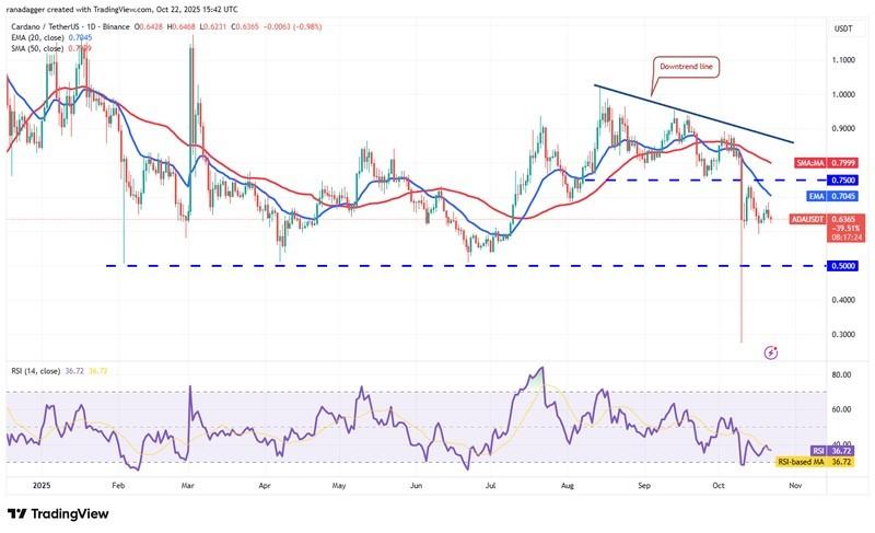دوج کوین، ارزهای دیجیتال، استلار، قیمت بیت کوین، ریپل، بازارها، صرافی ارزهای دیجیتال، کاردانو، تحلیل قیمت، چین لینک، تحلیل بازار، قیمت اتریوم، سولانا، بایننس کوین، پیش بینی قیمت ارز دیجیتال