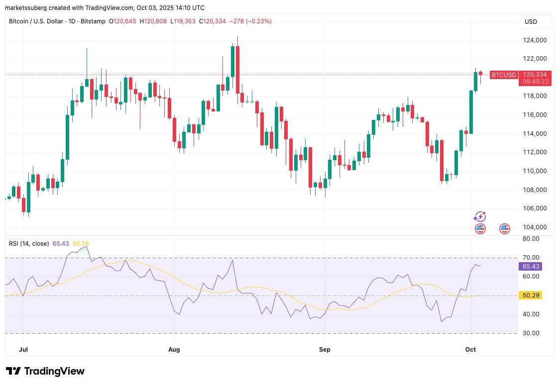 نمودار یک روزه BTC/USD با داده های RSI و خطر ریزش بیت کوین