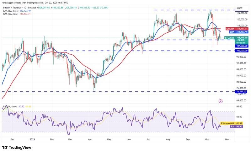 دوج کوین، ارزهای دیجیتال، استلار، قیمت بیت کوین، ریپل، بازارها، صرافی ارزهای دیجیتال، کاردانو، تحلیل قیمت، چین لینک، تحلیل بازار، قیمت اتریوم، سولانا، بایننس کوین، پیش بینی قیمت ارز دیجیتال