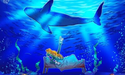 چرخه فروش نهنگ بیت کوین؛ آرامش در بازار، نه خروج ناگهانی