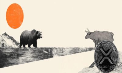 دریافت تاییدیه استیبل کوین ریپل امارات برای RLUSD؛ گامی مهم در بازارهای جهانی