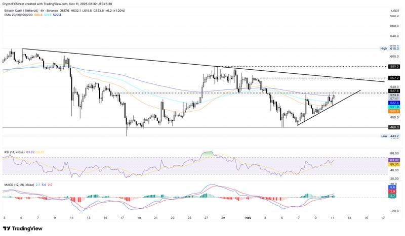 نمودار پیش بینی قیمت ارز دیجیتال بیت کوین کش