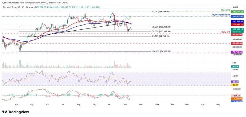 نمودار روزانه BTC/USDT - پیش بینی قیمت بیت کوین اتریوم ریپل