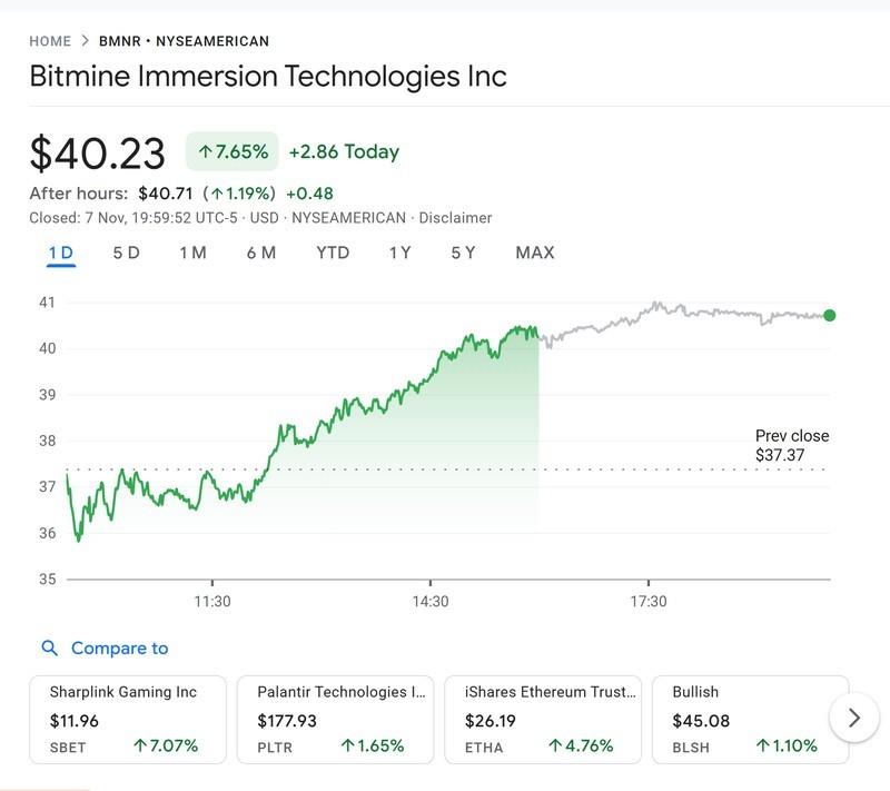 افزایش سهام BitMine در پی خروج آرک از سهام تسلا