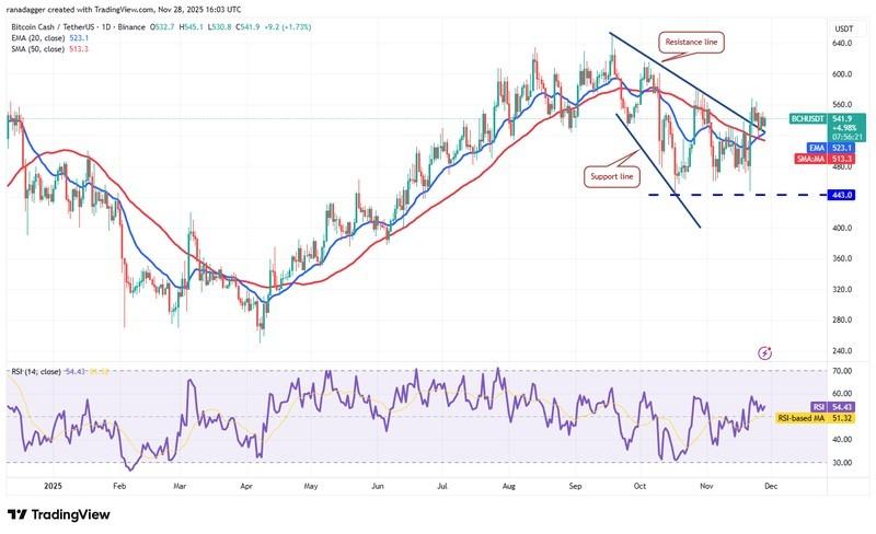 پیش بینی قیمت ارز دیجیتال بیت کوین کش - نمودار روزانه BCH/USDT