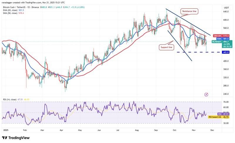 نمودار روزانه BCH/USDT - پیش بینی قیمت رمزارزها