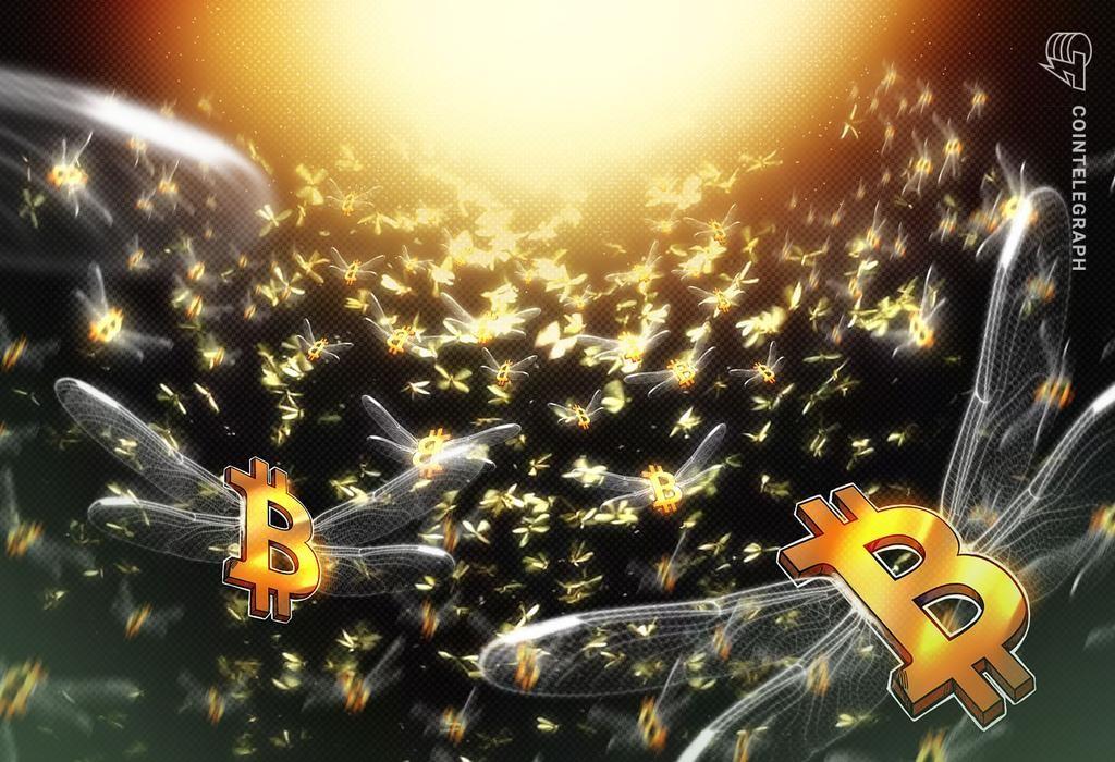 فعال شدن سکه کاساسیوس کمیاب؛ جابجایی 2000 بیت کوین پس از 13 سال