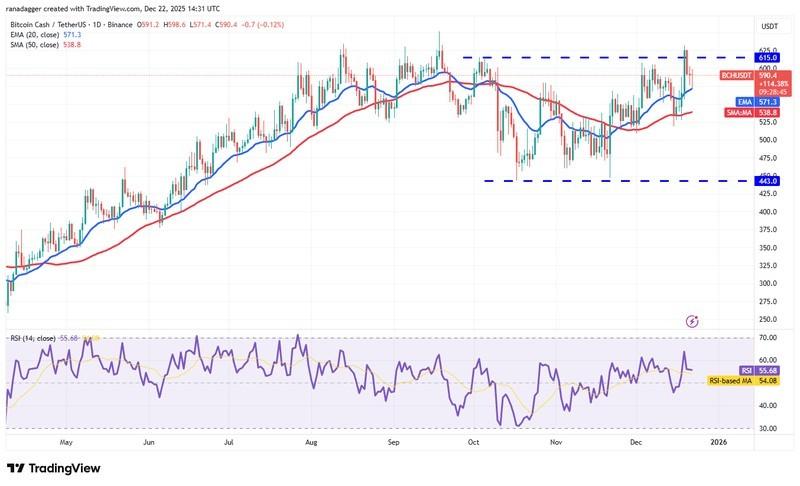 پیش بینی قیمت رمزارزها: نمودار روزانه بیت کوین کش