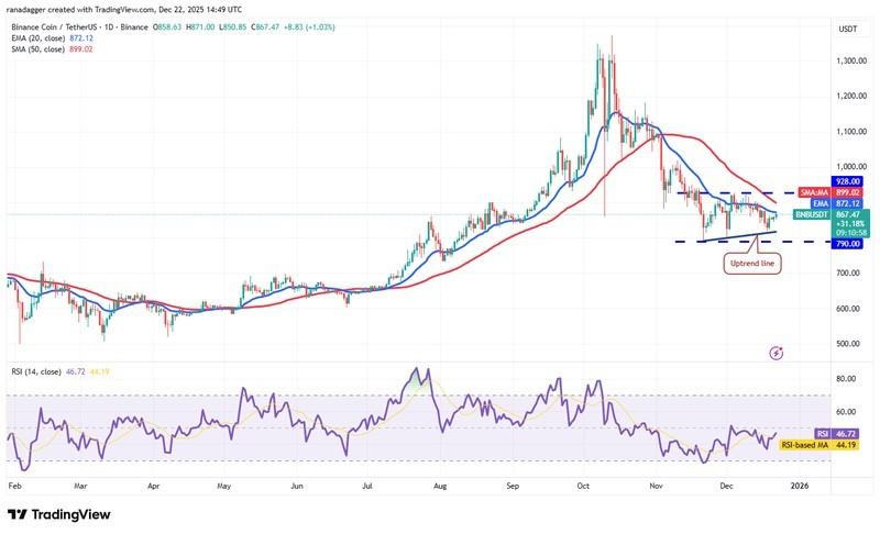 پیش بینی قیمت رمزارزها: نمودار روزانه BNB