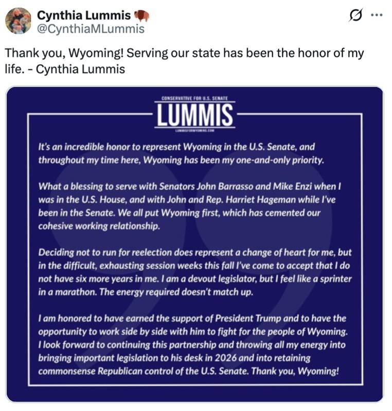 سناتور لومیس و ارز دیجیتال: Cryptocurrencies, United States