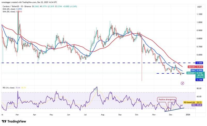 پیش بینی قیمت رمزارزها: نمودار روزانه کاردانو