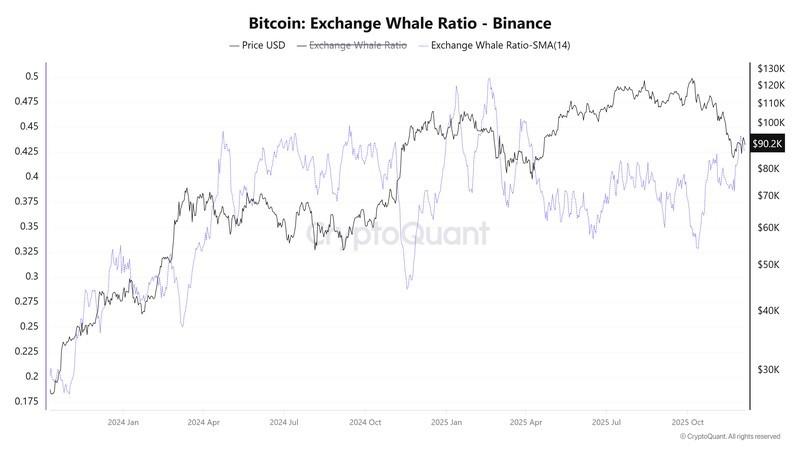 پیش بینی قیمت بیت کوین، رمز ارزها، قیمت بیت کوین، سرمایه گذاری ها، بازارها، صرافی ارز دیجیتال، بایننس، تتر، تحلیل قیمت، ترون، تحلیل بازار، نهنگ